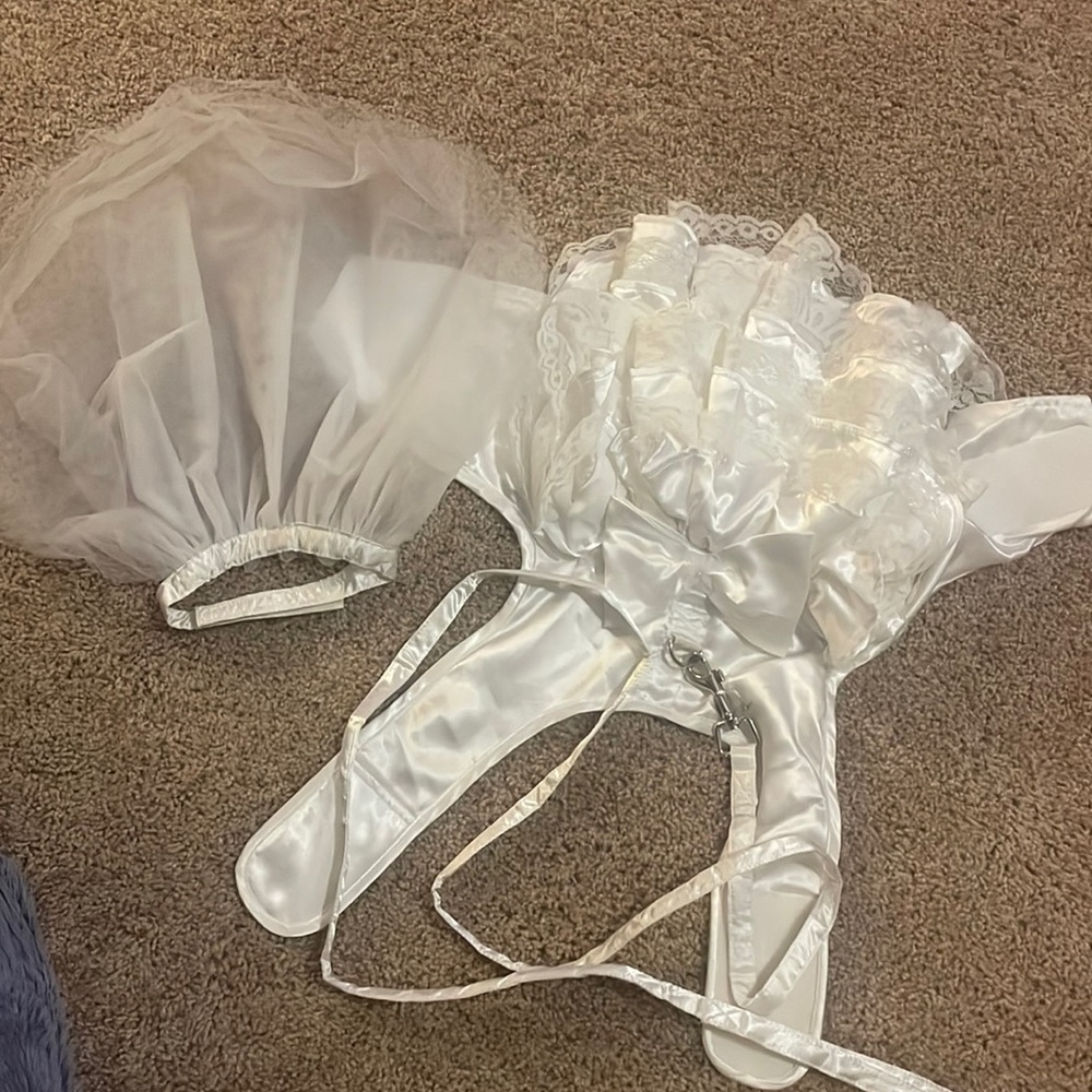 Dog wedding dress